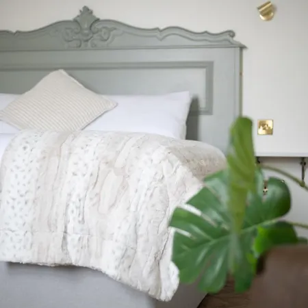 The Stella Historic Llandudno Bed & Breakfast-2